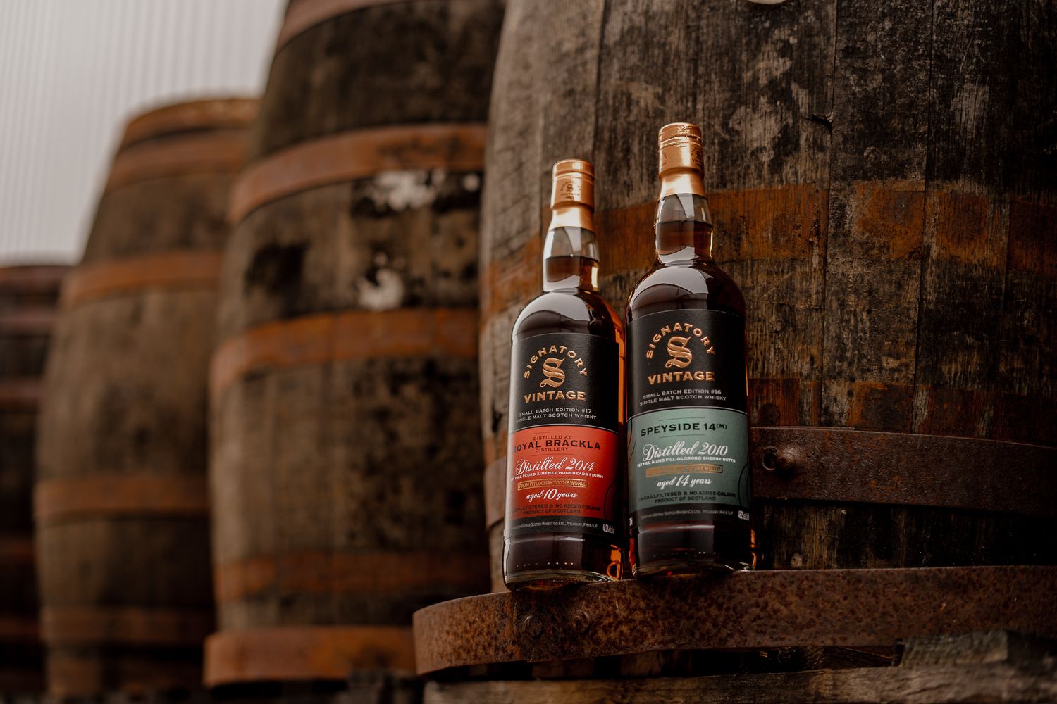 Secret Speyside (M) - 2010 - 14 Jahre - Signatory Small Batch # 16 - 48,2% Secret Speyside (M) - 2010 - 14 Jahre - Signatory Small Batch # 16 - 48,2%