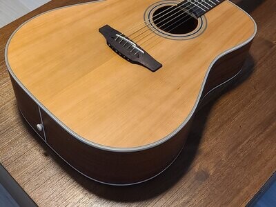 Takamine GD20 Natural Acoustic USED