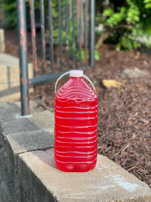 Cleanse Tea - 16oz Concentrate (Makes 1 Gallon=1 Week)