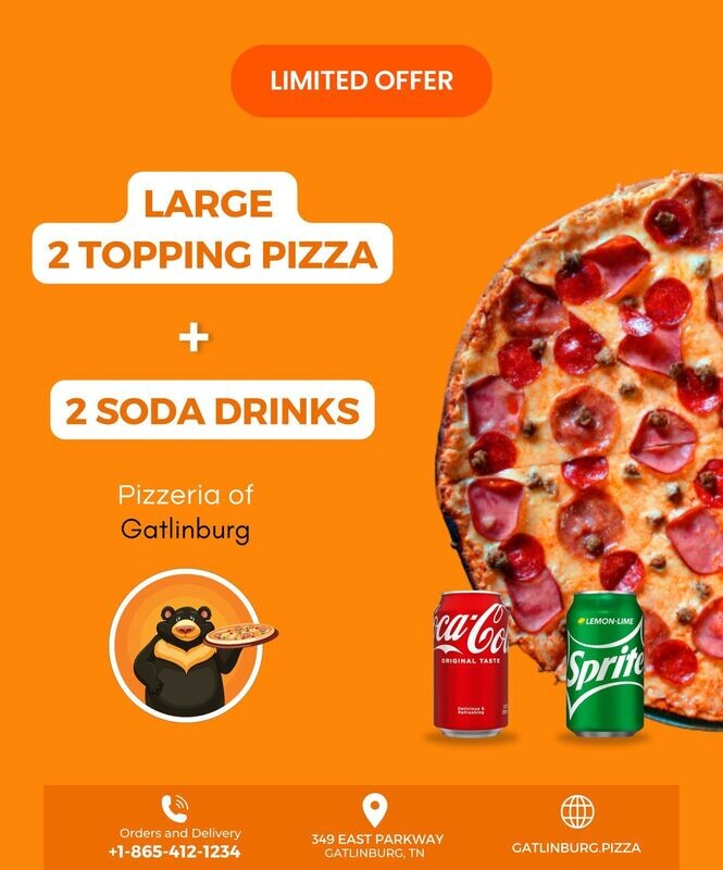 2 Topping - 1 Large Pizza & 2 Soda Drinks