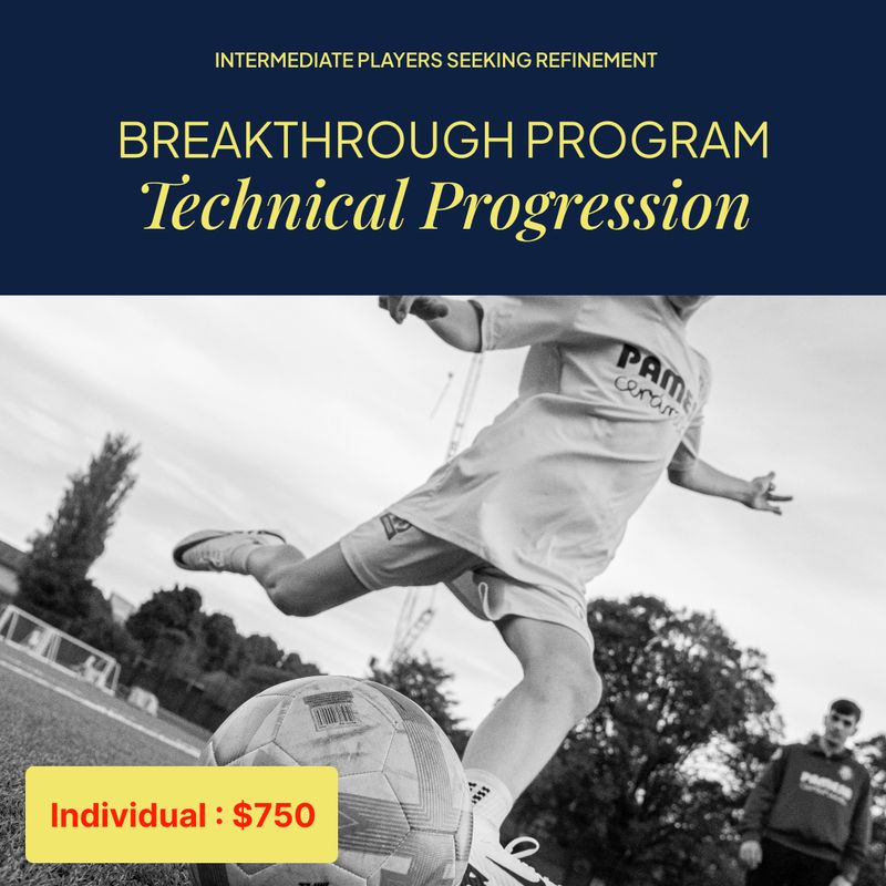 Breakthrough Program - Technical Progression (Individual - Full Term)