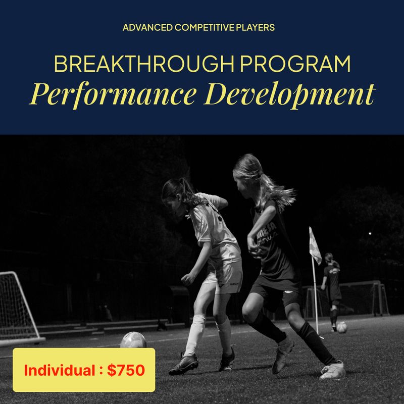 Breakthrough Program - Performance Development (Individual - Full Term)