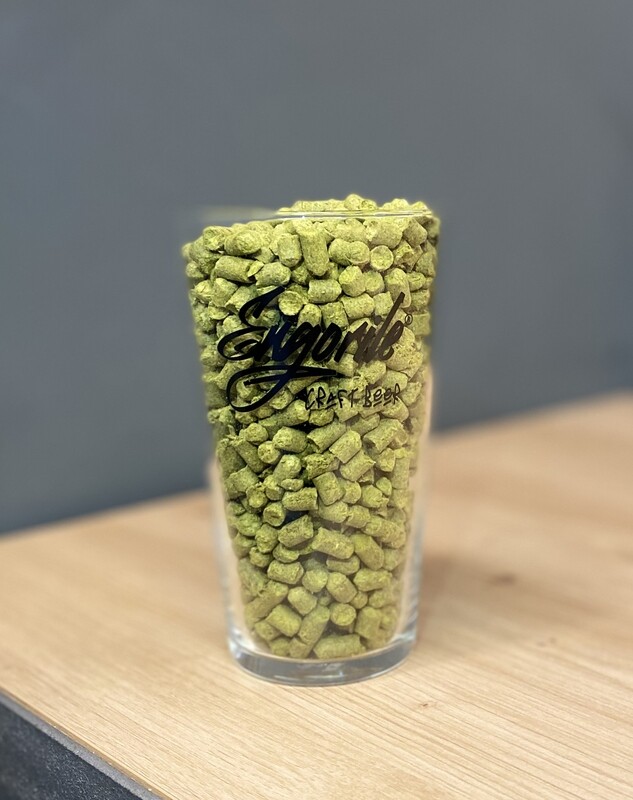 Vaso Engorile Pinta 0,56 cl