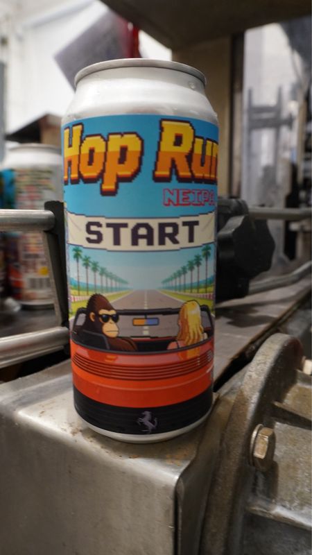 Hop Run Hop Run