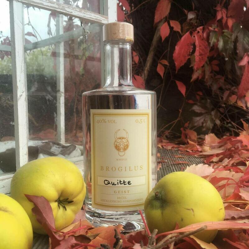 Geist Quitte