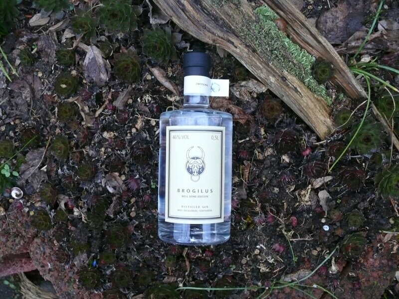Gin Well Done Edition Zwetschge