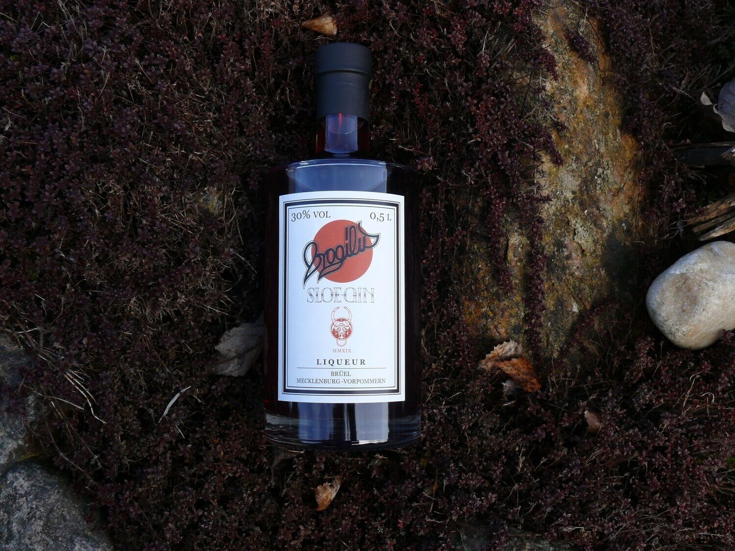 Sloe Gin Sloe Gin