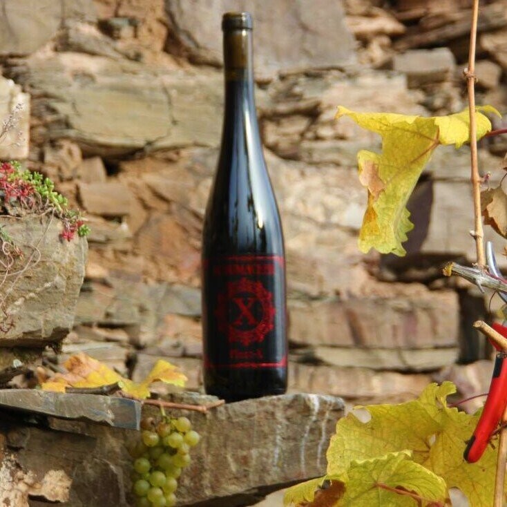 2023er Pinot-X Lignum, Qualitätsrotwein; Drei Jahre im Barrique gelagert trocken 2023er Pinot-X Lignum, Qualitätsrotwein; Drei Jahre im Barrique gelagert trocken