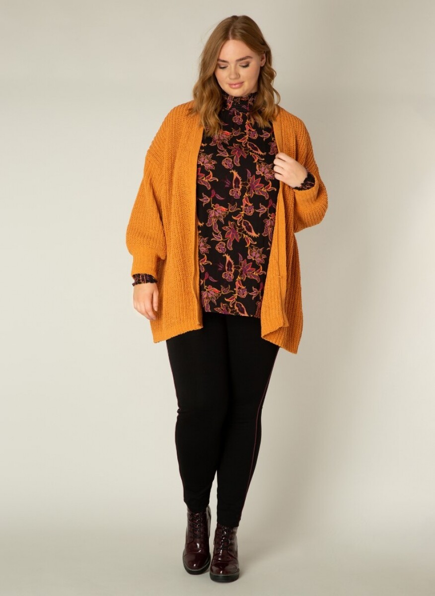 A002024 Dried Apricot