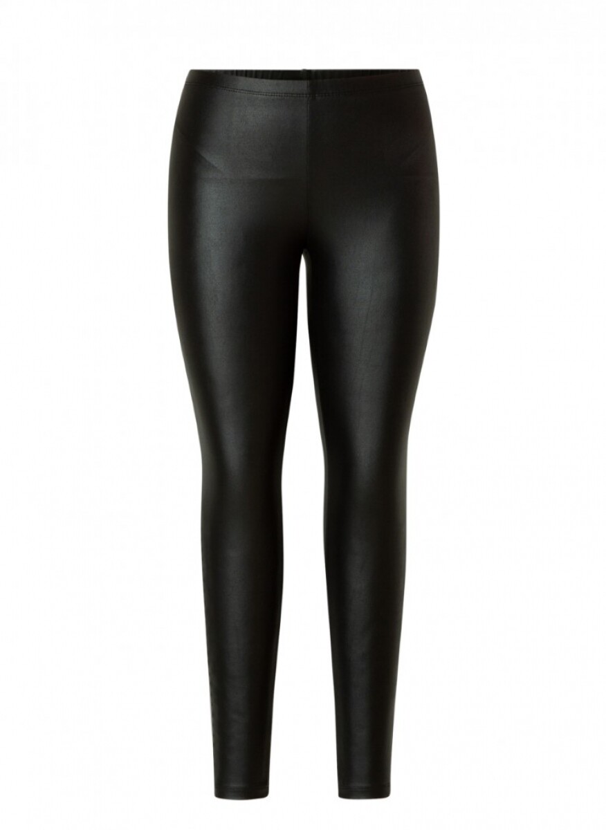 A002494 Black