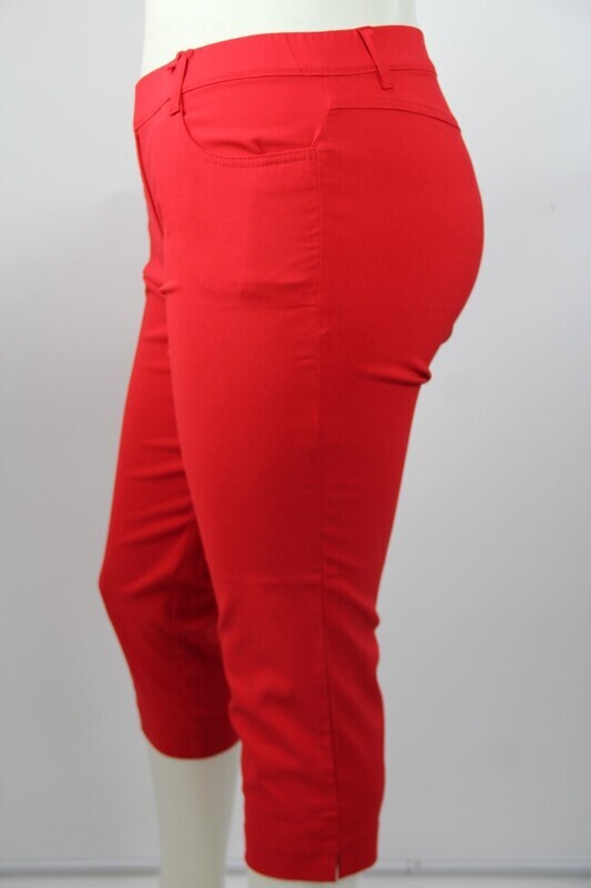 PAM4146 rood