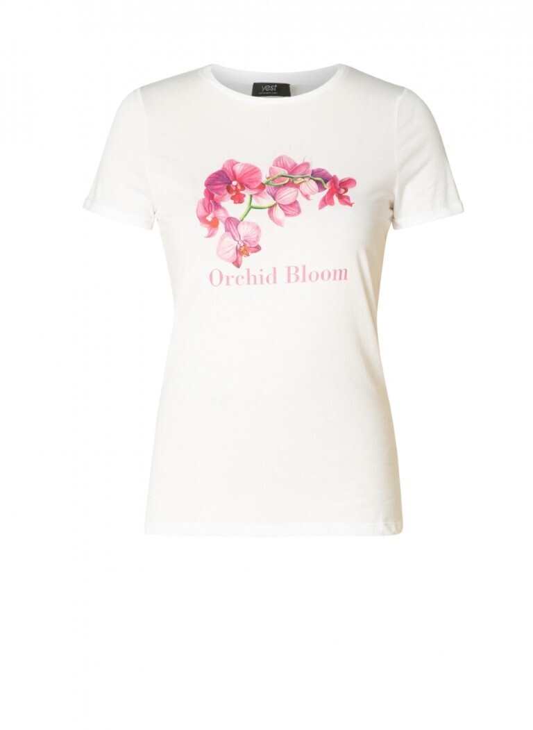 A002983 White