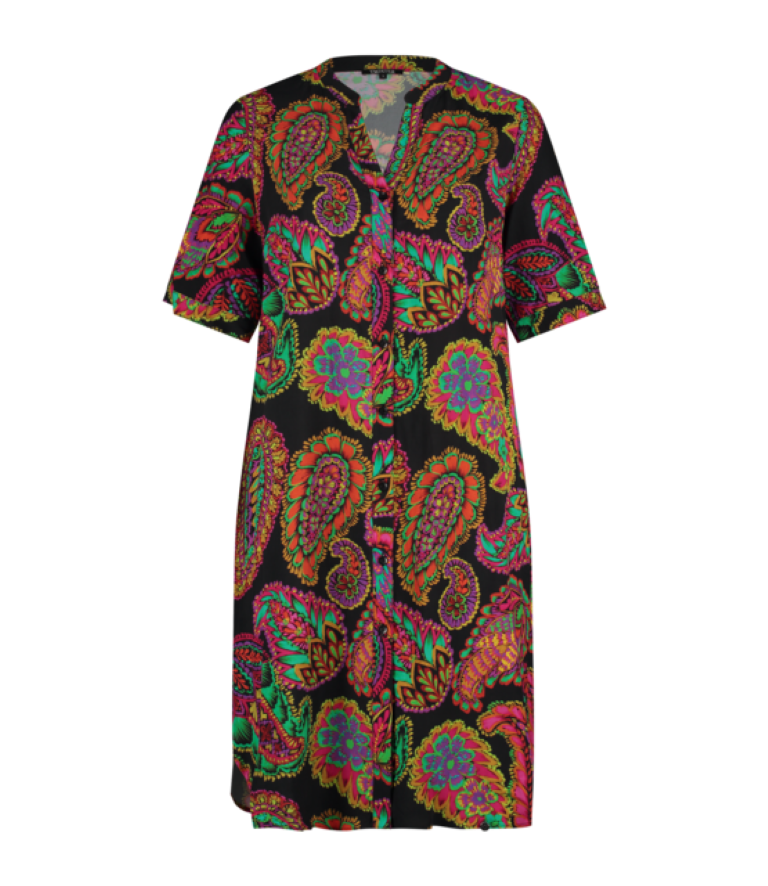 6588danilafolk print