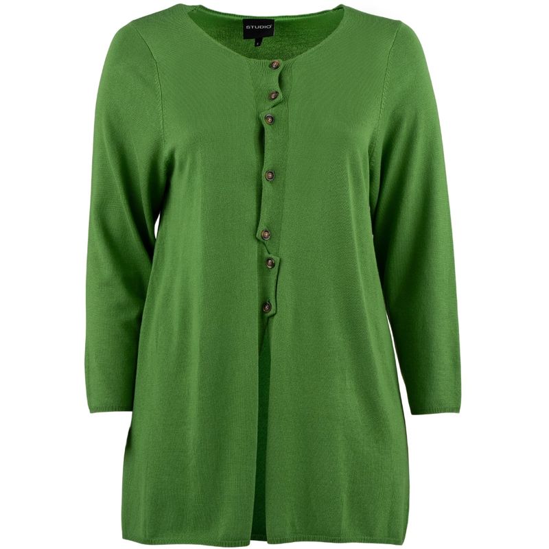 Studio Norella vest Groen S255803