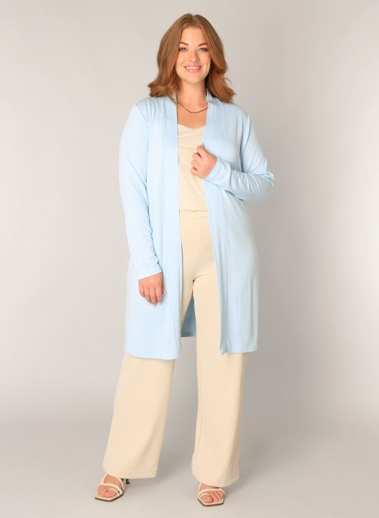 Base Level Curvy Ayla Long Light Blue 7000001