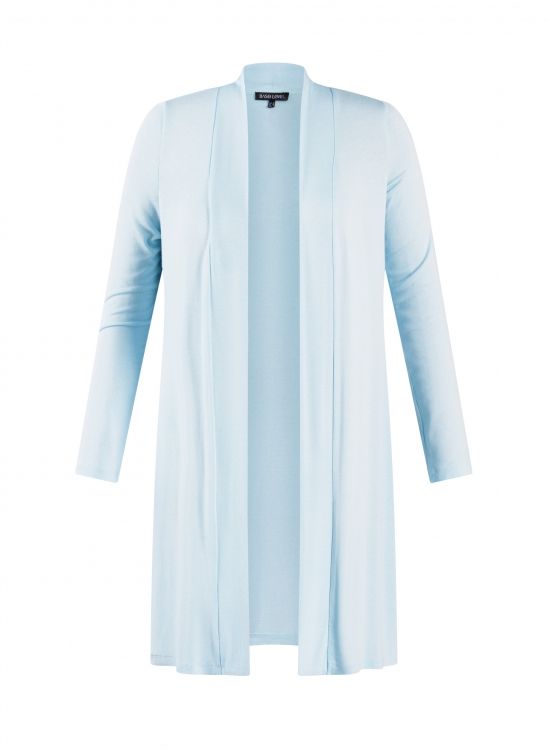 Base Level Curvy Ayla Long Light Blue 7000001