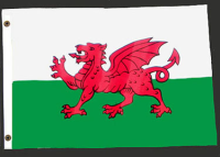 3ft. x 5ft. Welsh Flag Disc.
