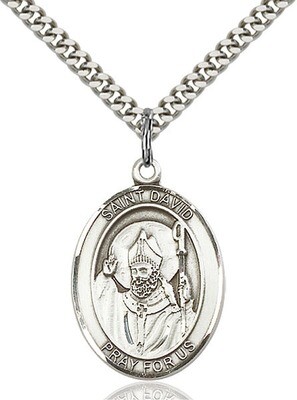Sterling Silver St. David of Wales Pendant on a 24" Light Rhodium Heavy Curb Endless Chain