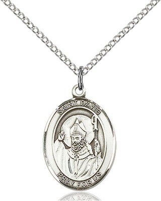Sterling Silver St. David of Wales Pendant on an 18" Light Rhodium Curb Chain with a Clasp