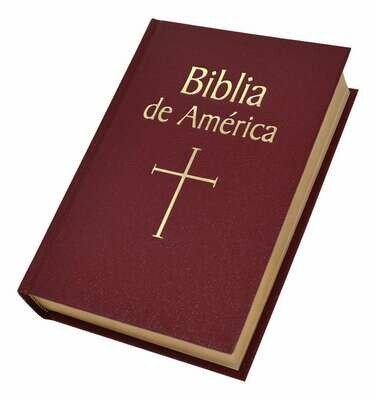 Biblia De America- Burgundy Hardcover
