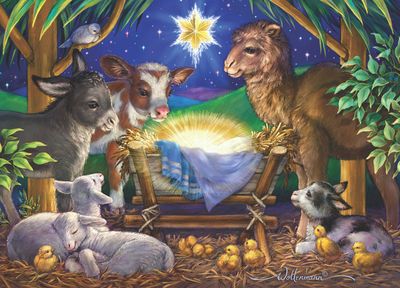 Boxed Christmas Cards- A Child is Born