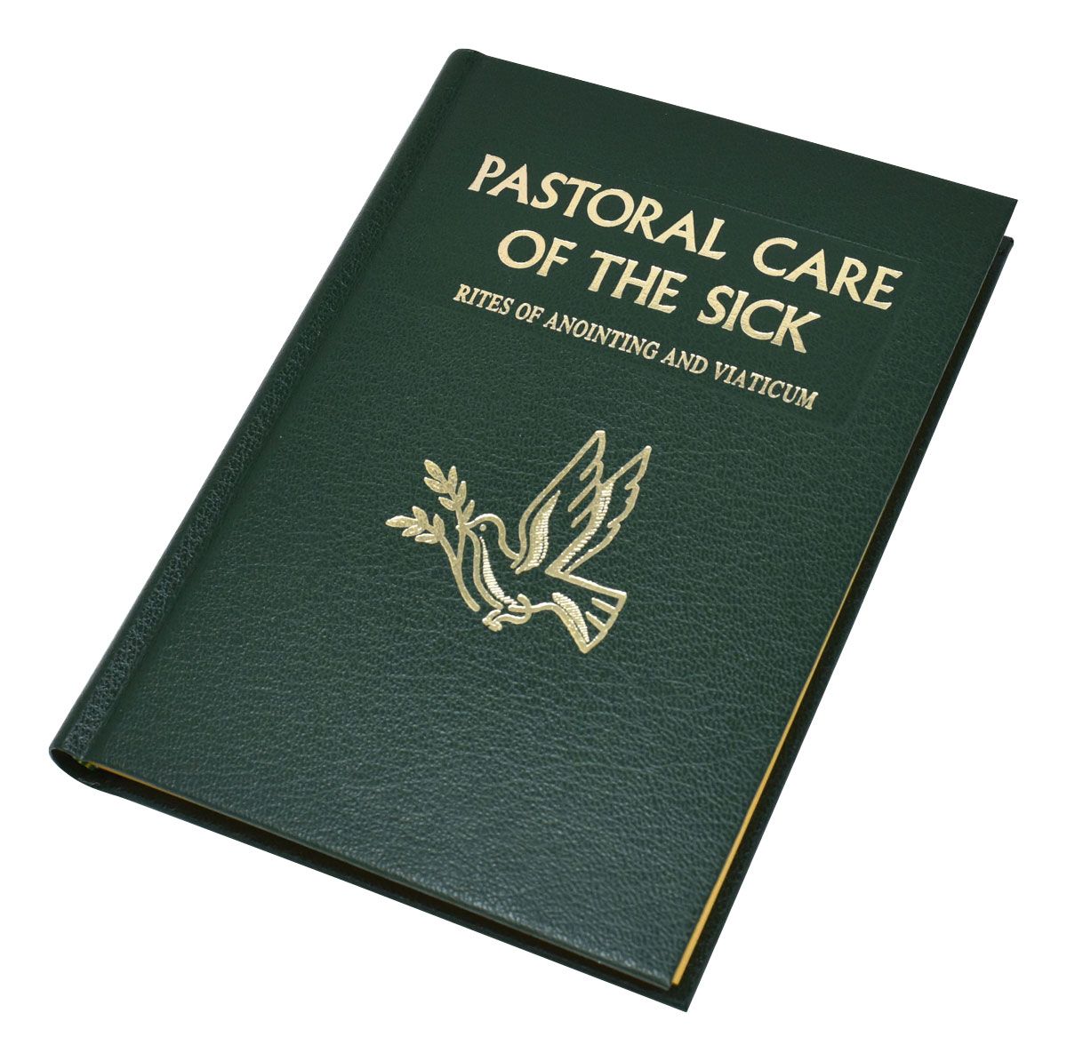 Pastoral Care of the Sick
