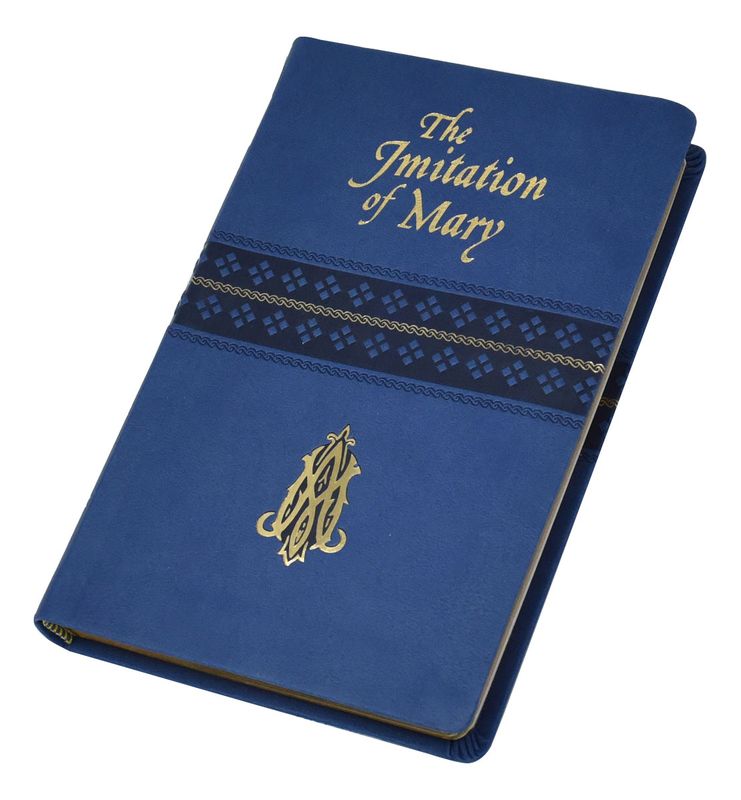 The Imitation of Mary Updated Version Vinyl Cover