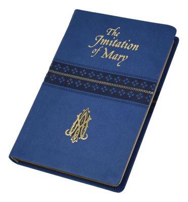 The Imitation of Mary Updated Version Vinyl Cover