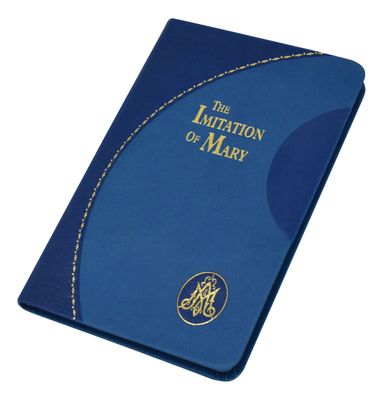 The Imitation of Mary Vinyl Cover