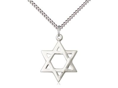 Sterling Silver Star of David Pendant on a 18&quot; Light Rhodium Light Curb Chain