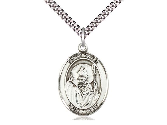 Sterling Silver St David of Wales Pendant on a 24&quot; Light Rhodium Heavy Curb Chain