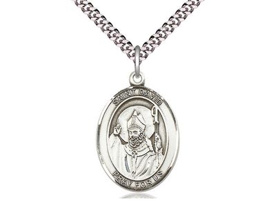 Sterling Silver St David of Wales Pendant on a 24&quot; Light Rhodium Heavy Curb Chain
