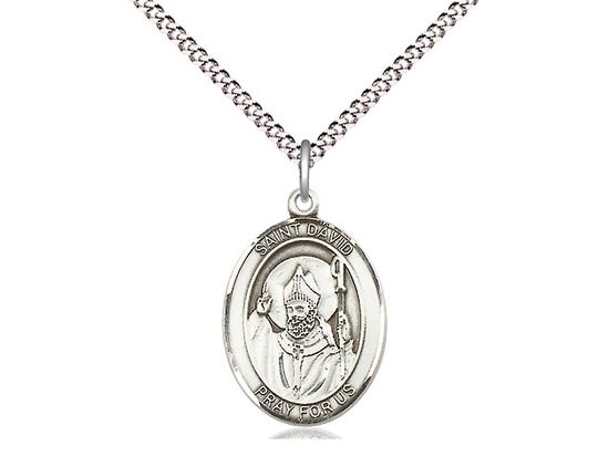 Sterling Silver St David of Wales Pendant on a 18&quot; Light Rhodium Light Curb Chain