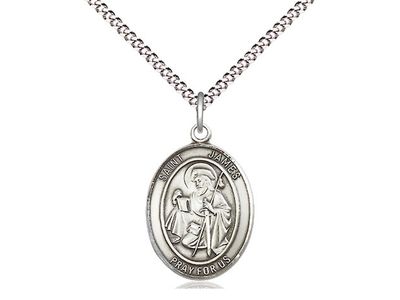 Sterling Silver St James the Greater Pendant on a 18&quot; Light Rhodium Light Curb Chain