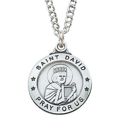 Sterling Silver St. David Medal on 20&quot; Stainless Steel Chain