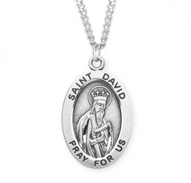Sterling Silver St. David Oval Medal on a 20&quot; Rhodium Plated Chain