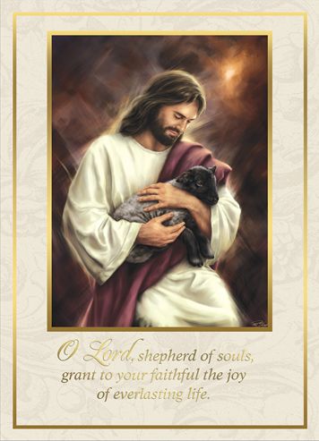 Mass Card- Jesus Our Shepherd, Box of 50, ME603