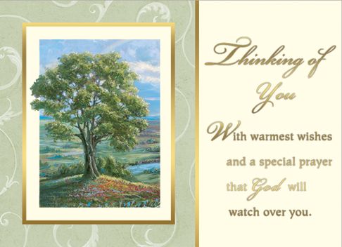 Thinking of You Cards, Box of 25, MA127