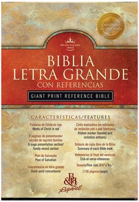 Spanish Bible Large Print- RV 1960 Disc.