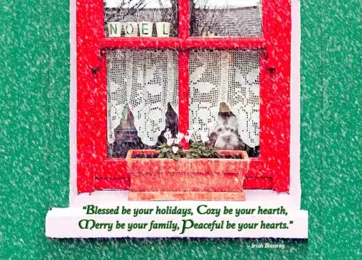 Irish Boxed Christmas Cards - Dog in Window