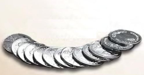 Wedding Coins Silver