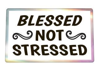 &quot;Blessed Not Stressed&quot; Decal
