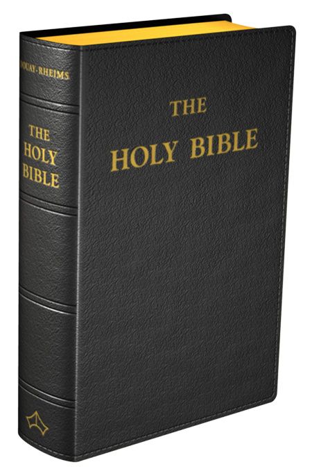 Douay-Rheims Bible (Standard Size)- Black