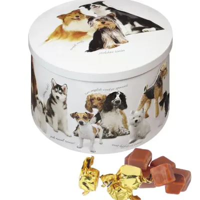 Dog Tin- Vanilla Fudge