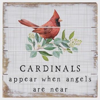 Cardinals Appear