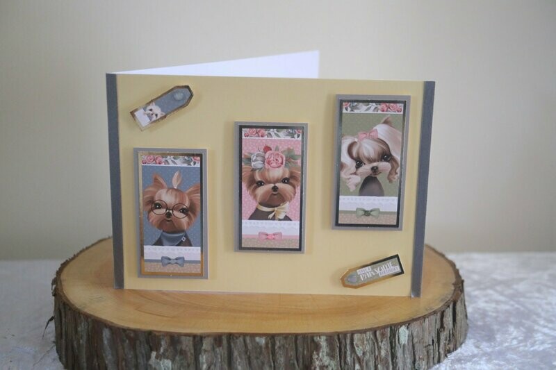 Cute Paws Birthday Card