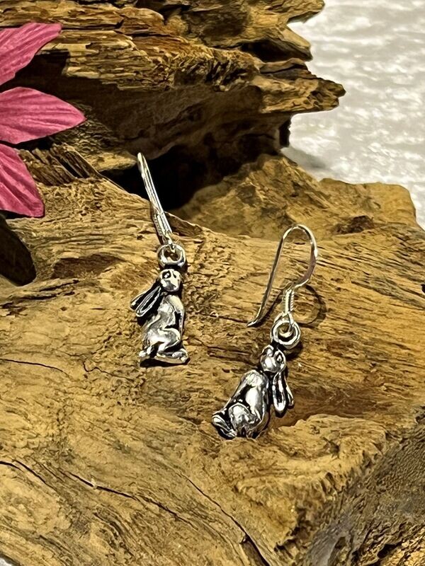 Moon Gazing Hare Silver Earrings