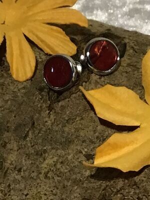 Red Paua Shell Round Earrings