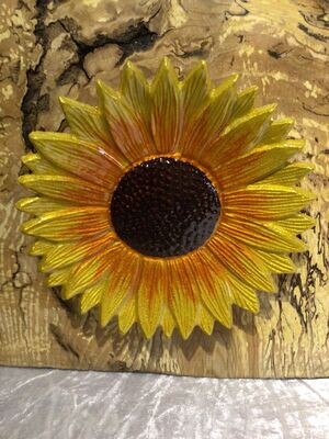 Yellow and Brown Sunflower