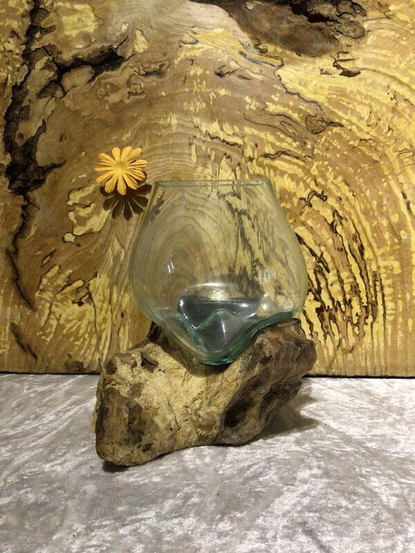 Teak Root Glass Bowl